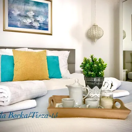 Borka Bed & Breakfast Abádszalók